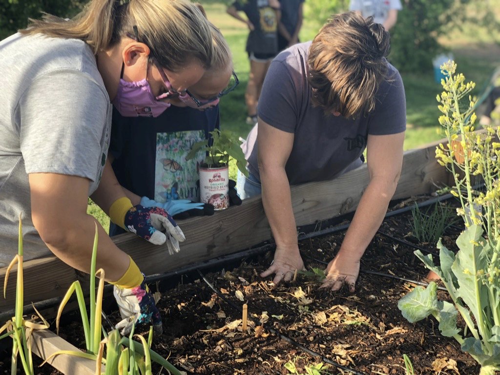 Fresh In The Neighborhood